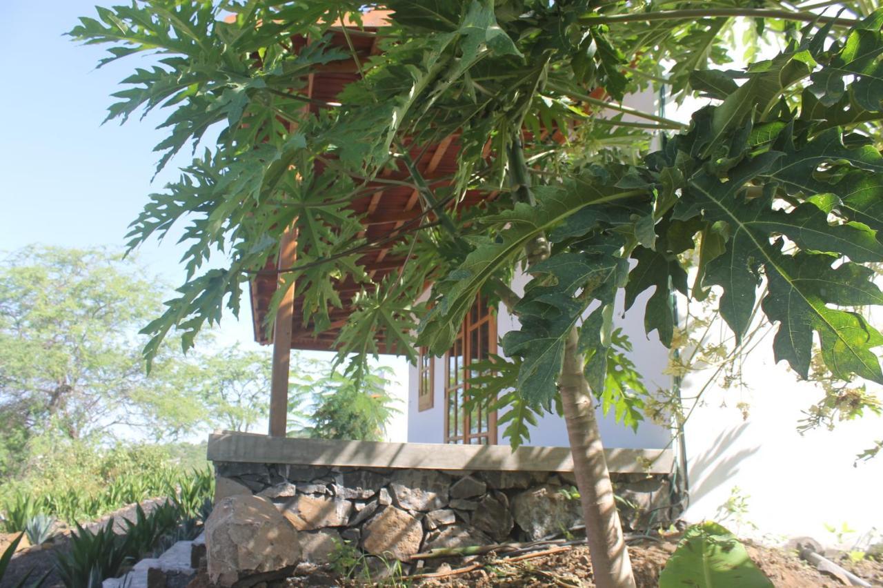 La Fora Ecolodge São Filipe Eksteriør billede